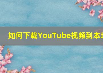 如何下载YouTube视频到本地