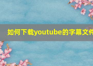 如何下载youtube的字幕文件