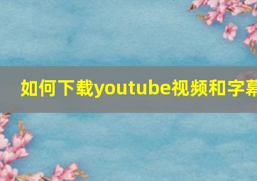 如何下载youtube视频和字幕