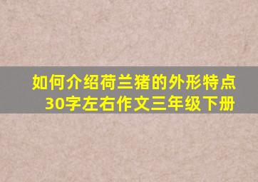 如何介绍荷兰猪的外形特点30字左右作文三年级下册