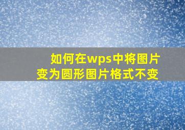 如何在wps中将图片变为圆形图片格式不变