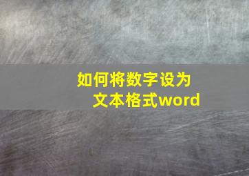 如何将数字设为文本格式word