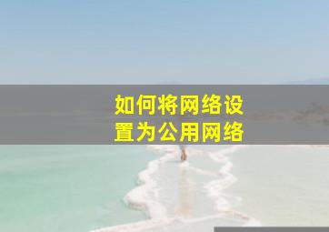 如何将网络设置为公用网络