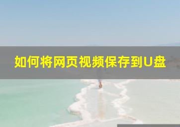 如何将网页视频保存到U盘