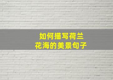 如何描写荷兰花海的美景句子