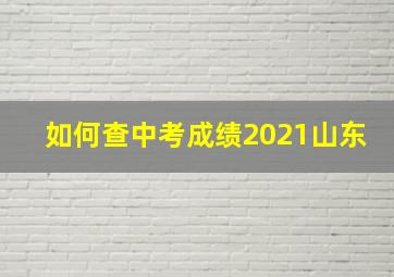 如何查中考成绩2021山东