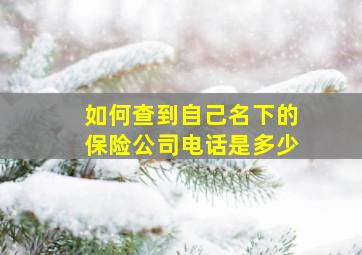 如何查到自己名下的保险公司电话是多少