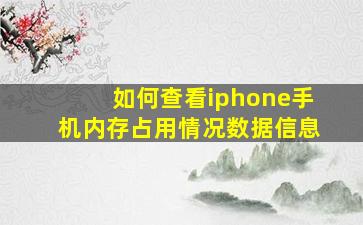 如何查看iphone手机内存占用情况数据信息