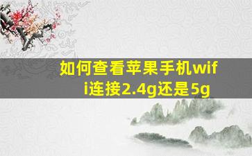 如何查看苹果手机wifi连接2.4g还是5g