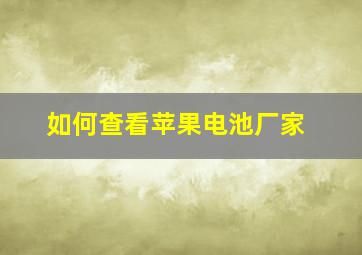 如何查看苹果电池厂家