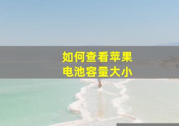 如何查看苹果电池容量大小