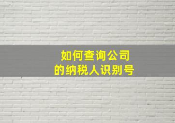 如何查询公司的纳税人识别号