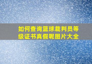 如何查询篮球裁判员等级证书真假呢图片大全