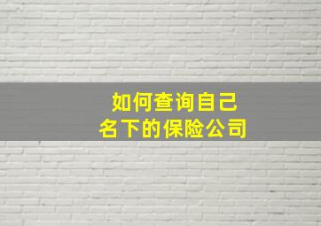 如何查询自己名下的保险公司