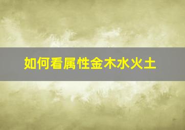 如何看属性金木水火土