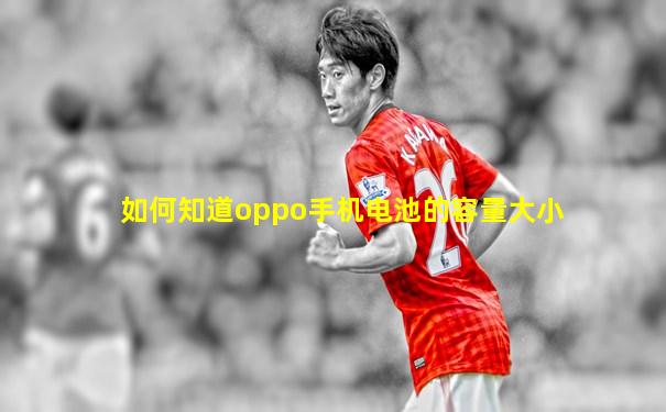 如何知道oppo手机电池的容量大小