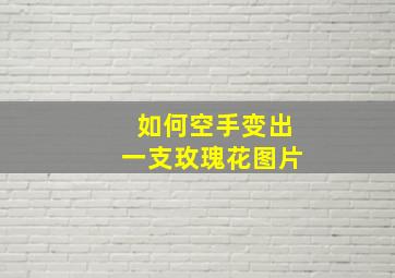 如何空手变出一支玫瑰花图片