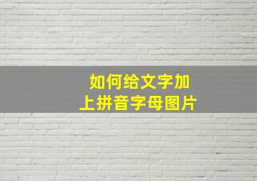 如何给文字加上拼音字母图片