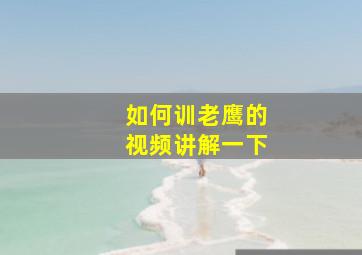 如何训老鹰的视频讲解一下