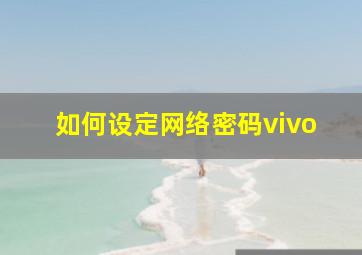 如何设定网络密码vivo