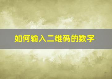 如何输入二维码的数字