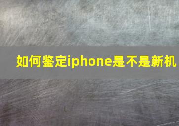 如何鉴定iphone是不是新机