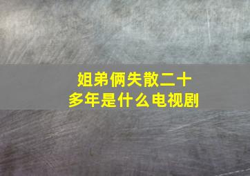 姐弟俩失散二十多年是什么电视剧