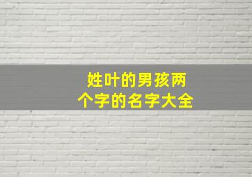 姓叶的男孩两个字的名字大全