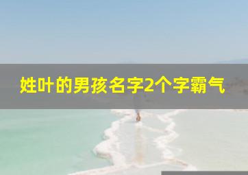 姓叶的男孩名字2个字霸气