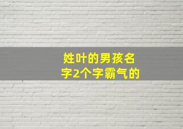 姓叶的男孩名字2个字霸气的