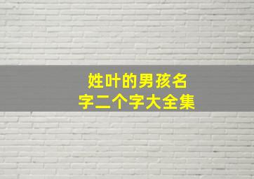 姓叶的男孩名字二个字大全集