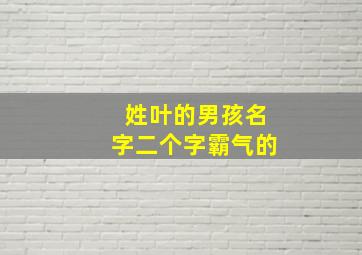 姓叶的男孩名字二个字霸气的