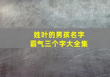 姓叶的男孩名字霸气三个字大全集