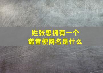 姓张想拥有一个谐音梗网名是什么