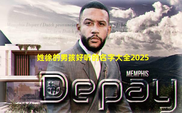 姓徐的男孩好听的名字大全2025