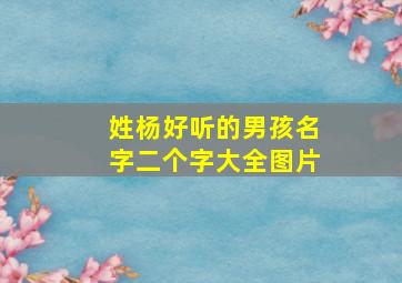 姓杨好听的男孩名字二个字大全图片