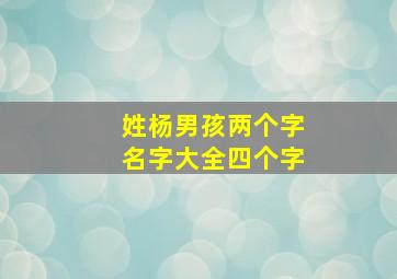 姓杨男孩两个字名字大全四个字