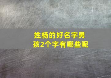 姓杨的好名字男孩2个字有哪些呢