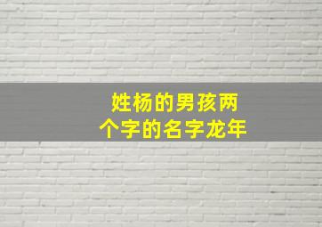 姓杨的男孩两个字的名字龙年