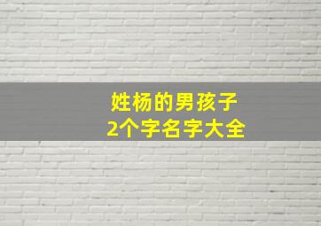 姓杨的男孩子2个字名字大全