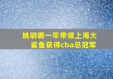 姚明哪一年带领上海大鲨鱼获得cba总冠军