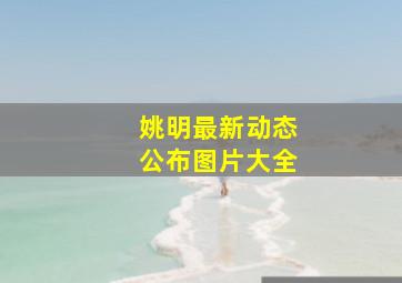 姚明最新动态公布图片大全