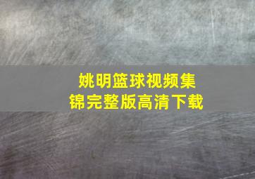 姚明篮球视频集锦完整版高清下载