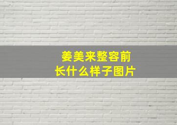 姜美来整容前长什么样子图片