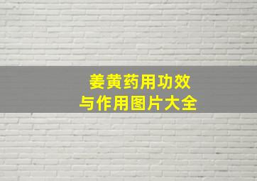 姜黄药用功效与作用图片大全