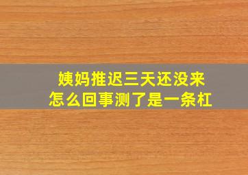 姨妈推迟三天还没来怎么回事测了是一条杠