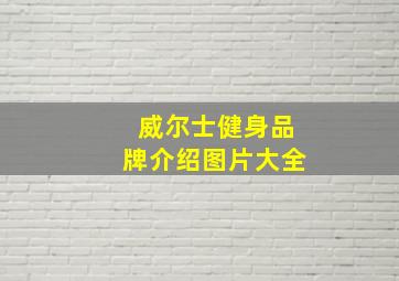 威尔士健身品牌介绍图片大全