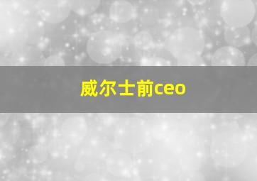 威尔士前ceo