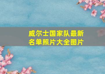 威尔士国家队最新名单照片大全图片