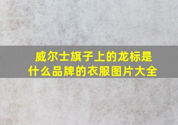 威尔士旗子上的龙标是什么品牌的衣服图片大全